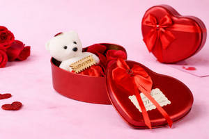 Teddy Gift Box