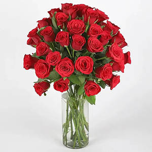 50 Red Roses & Truffle Cake Combo