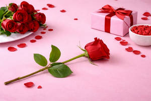 Red Rose - 1 Pc