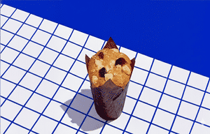 Big Blueberry Muffin