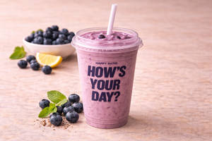 Fresh Blueberry Protein Blend