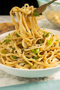 Veggies Yaki Udon Noodle