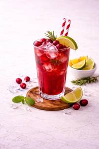 Cranberry Mojito