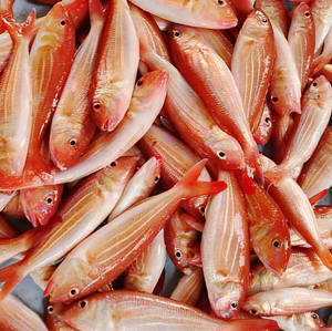Sankara (uncleaned)/500gms
