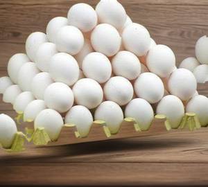 12 Egg