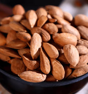 Badam