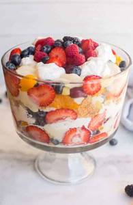 Fruit Pudding                                          