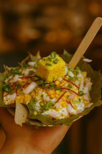 Dhokla Chaat