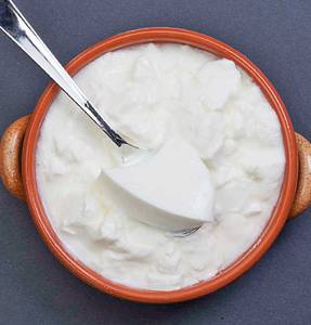 Classic Dahi