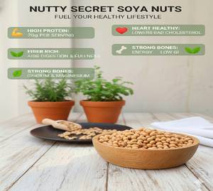 Soya Nuts 125Gms Protein