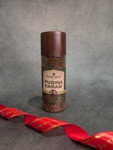 Pudina Karam 100g