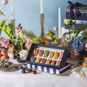 Festive  Macaroons Box Classic Collection