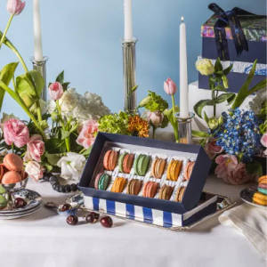 Festive Macaroon Box Signature Collection