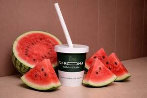 Watermelon Milkshake