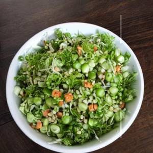 Sprouts Salad