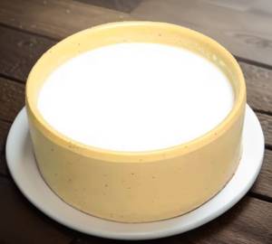 Plain dahi
