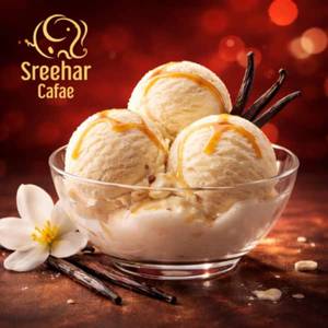 Vanilla Ice Cream