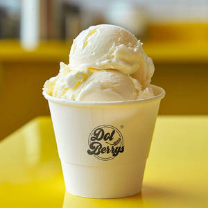 Natural Vanilla Ice Cream