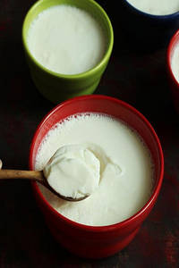 Plain Curd