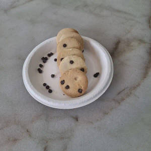 Vanilla Chocohip Cookies