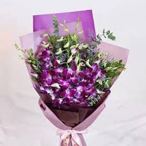 Orchid bunch [10 sticks]