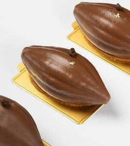 Cocoa Pod