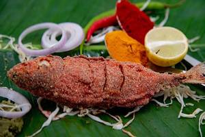 Bangda Fry