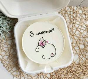Rabbit Theme Fruit Bento Cake