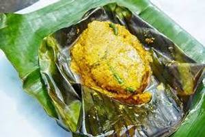 Dim paturi