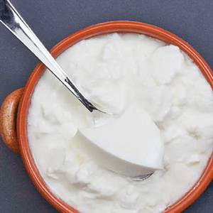 Plain Curd