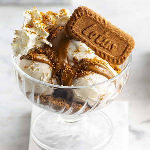 Biscoff Fudge Sundae
