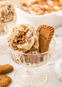 Lotus biscoff gelato  [100 gm]