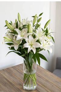 Blooming Lily