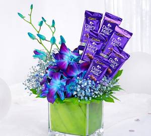 Orchid with chocolate arrangement