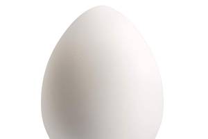 Egg