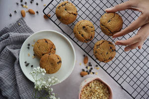 Chocolate Chip Cookie - Single