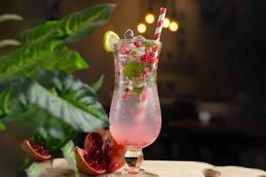 Pomegranate Mojito