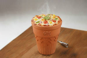 GTC Signature Kulhad Pizza
