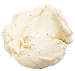 Indian Bean Vanilla Gelato 100g Cup