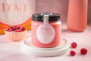 Raspberry Sorbet (Dairy Free)