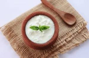 Plain Curd