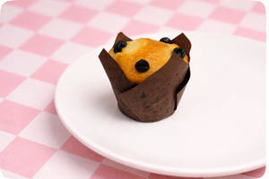 Vanilla Blueberry Muffin