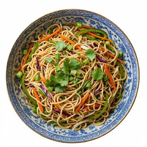 Hakka Noodles