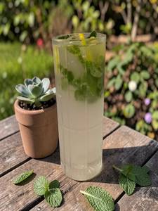 lemonade (mint)
