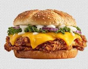 Double Cheese Piza Burger