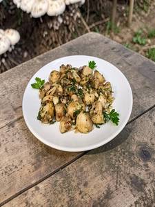 sauteed mushroom (side)