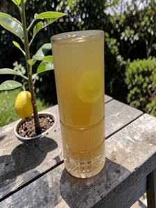 lemon punch