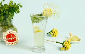 Fresh Minty Mojito