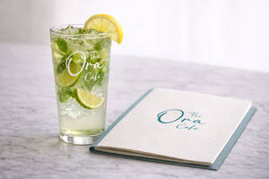 Vintage Mojito