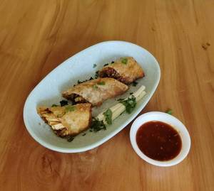 Paneer Spring Rolls
